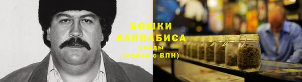 ПСИЛОЦИБИНОВЫЕ ГРИБЫ Михайловск